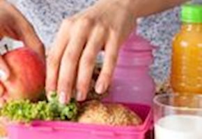 Advice for a Safe Packed School Lunch 