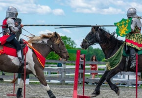 New Jersey Renaissance Faire School Day