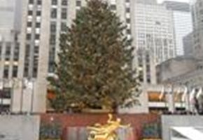 Holiday Traditions in New York City