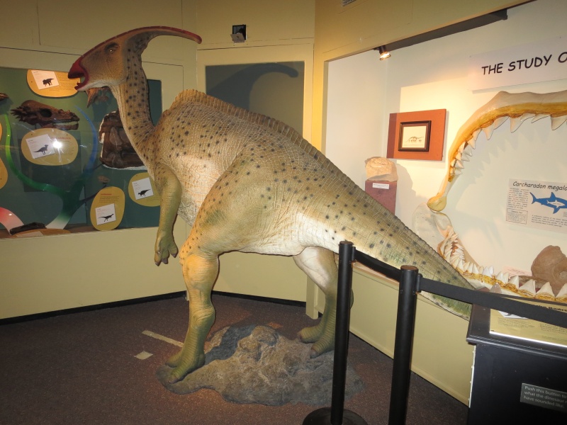 Dinosaurs at Museum