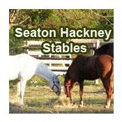 Seaton Hackney Stables - Horse Riding Programs and Camp