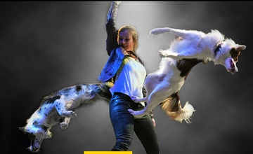 Mutts Gone Nuts at NJPAC