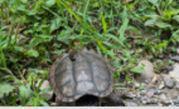 Pop-Up Nature Center at Mercer County Park Marina