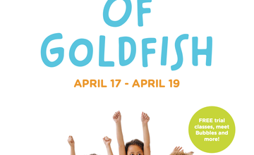 Glimpse of Goldfish Weekend at Goldfish Swim School - Mount Laurel