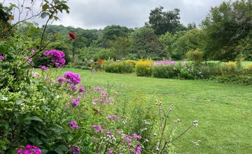 Wildflower Walk at NJ Botanical Garden
