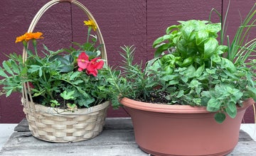 Mother’s Day Planting Make n’ Take  at Terhune Orchards