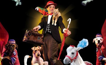 Popovich Comedy Pet Theater