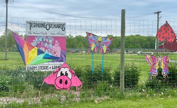 Kite Day at Terhune Orchards