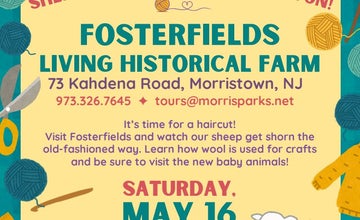Farm to Fleece at Fosterfields Living Historical Farm