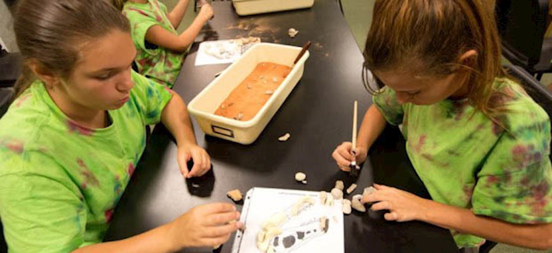 Learn about paleontology while digging for dinosaurs at our New Jersey State Museum Paleo Labs!