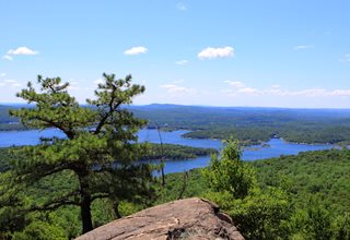 Norvin Green State Forest