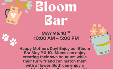 The Animal Lover Mom-Cape May