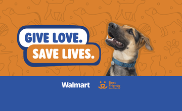 Give Love. Save Lives Adoption Event at Walmart