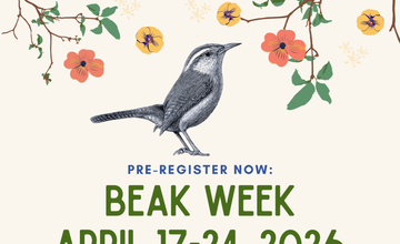 Beak Week 2026