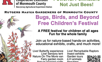 Bugs Birds and Beyond, Free Children’s Festival