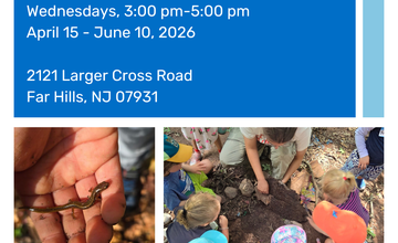 Nature Days Enrichment Programs at Fairview Farm