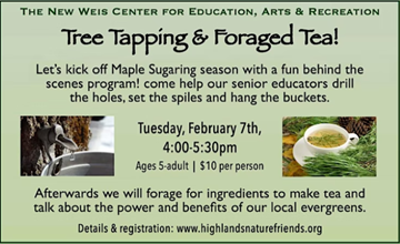 Tree Tapping & Forage Tea at The New Weis Center for Education, Arts & Recreation