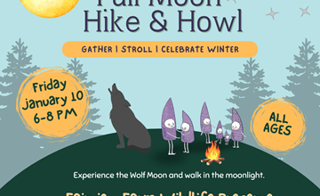 Full Moon Hike, Campfire and Friluftsfest