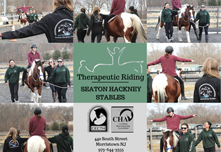 Seaton Hackney Therapeutic Riding Program