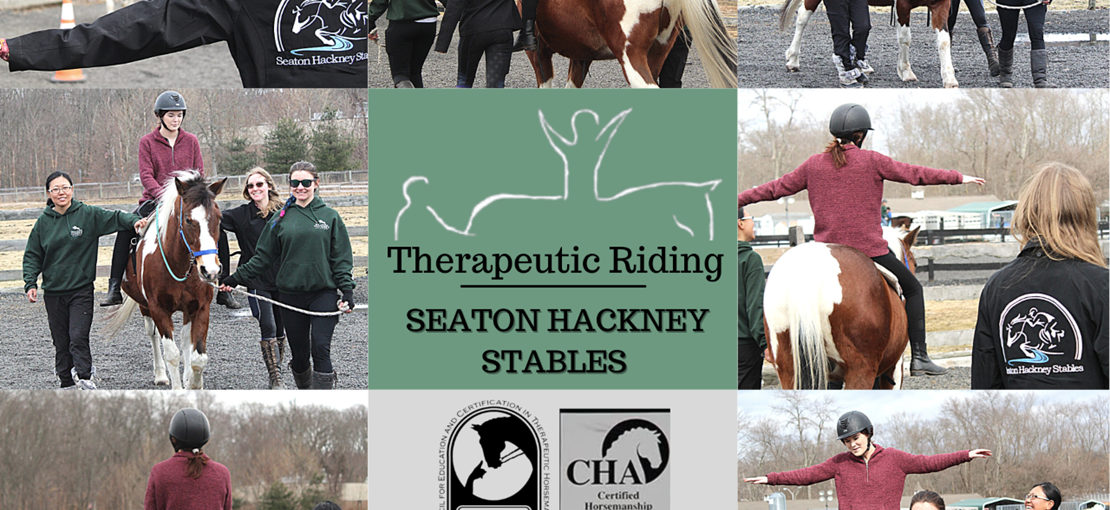 Therapeutic Riding at Seaton Hackney Stables