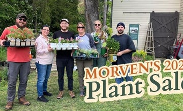 Annual Plant Sale