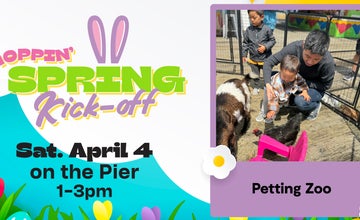 Free Petting Zoo at Casino Pier