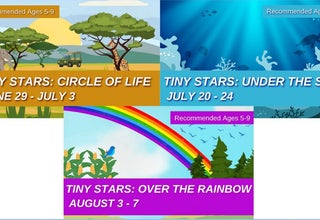 StageWorks Theatre Group Summer Camps