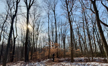 Family Holiday Pinecone Craft at Tulpehaking Nature Center