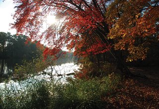 Parvin State Park