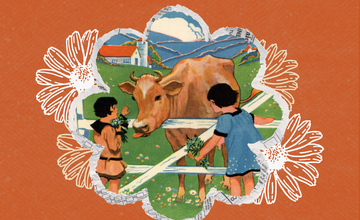 Opening Day at Fosterfields