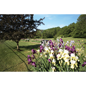 Presby Memorial Iris Gardens