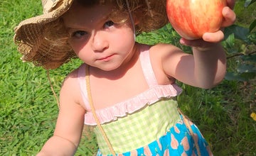 Read & Pick: Apples At Terhune Orchards