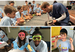 STEM Summer Camp at Club SciKidz NorthCentral New Jersey