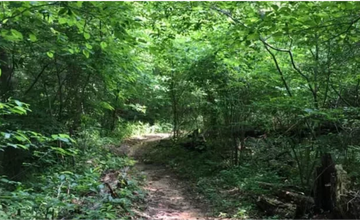 Abbott Amblers Community Walk - Watson Woods