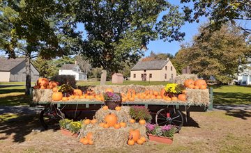 Fall Harvest Festival