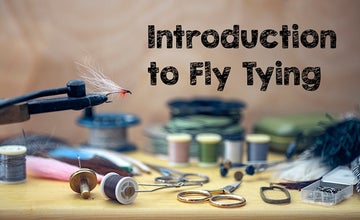 Introduction to Fly Tying