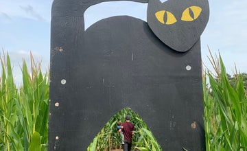 Fall Family Fun Weekends at Terhune Orchards