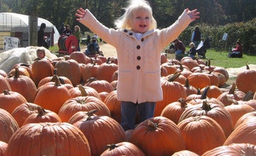 Fall Family Fun Festival Weekends
