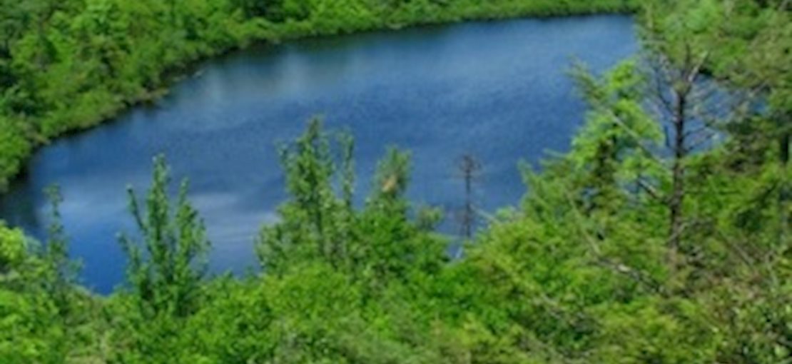 The Bearfort Mountain Ridge located in Abram S. Hewitt State Forest.