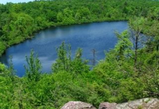 Abram S. Hewitt State Forest