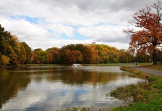 Black Brook Park