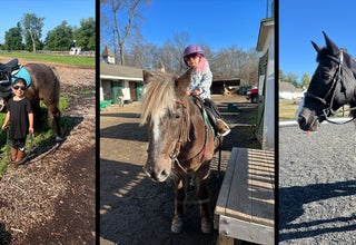 Seaton Hackney Therapeutic Riding Program