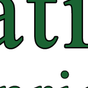 International Ivy Summer Enrichment Programs - In-Person and Virtual Camp