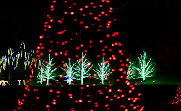 Shady Brook Farm Holiday Light Show