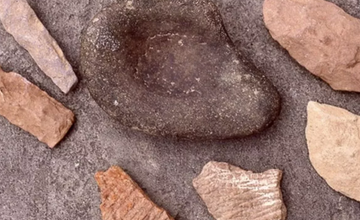 Mystery of Lenape Pottery at Tulpehaking Nature Center