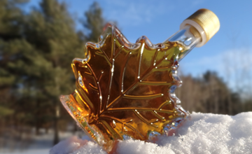 Maple Sugaring at Lake Rickabear Camp