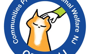 TNVR Training Session with CPAW NJ at Brookdale Pet Center