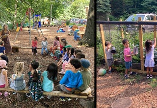 Friends Neighborhood Nature School Summer Camp