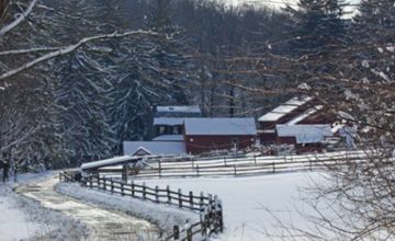 Winters Day On the Farm @Fosterfields Living Historical Farm