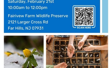 Bugs and Blooms Special: Winter Sowing at Fairview Farm